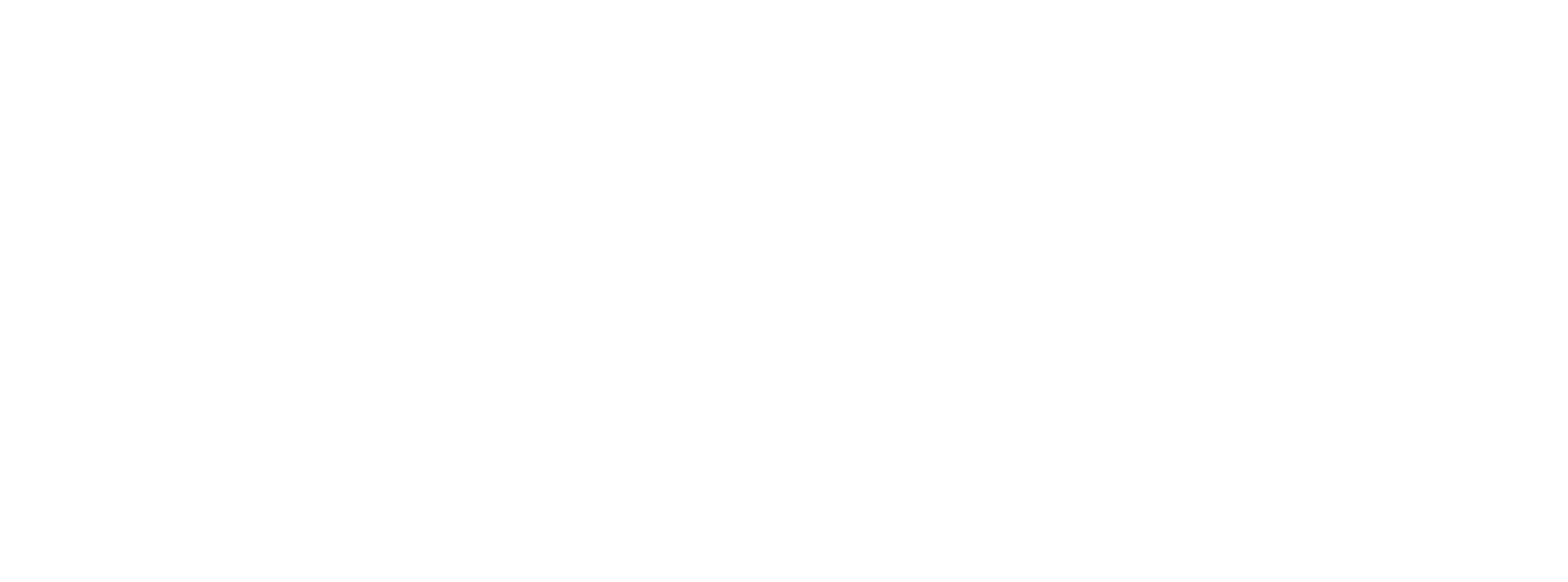 The Courier Guy Logo
